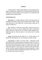 Biznesa plāns 'Viesnīcas "Eiropa" pieprasījuma palielināšana', 17.