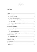 Biznesa plāns 'Biznesa plāns uzņēmumam SIA "Ābolītis"', 2.