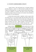 Biznesa plāns 'Biznesa plāns uzņēmumam SIA "Ābolītis"', 7.