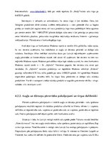 Biznesa plāns 'Biznesa plāns uzņēmumam SIA "Ābolītis"', 17.