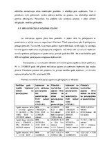 Biznesa plāns 'Biznesa plāns uzņēmumam SIA "Ābolītis"', 21.