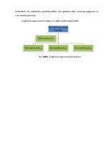 Biznesa plāns 'Biznesa plāns uzņēmumam SIA "Ābolītis"', 24.