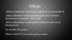 Prezentācija 'Silīcija un tā savienojumu izmantošana ķīmijā', 3.