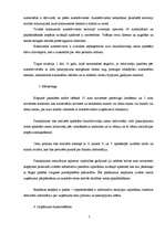 Biznesa plāns 'Biznesa plāns ekonomikā', 7.