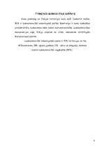 Referāts 'Itālija', 7.