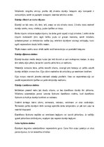 Konspekts 'Auto, moto un cita tehnika', 4.