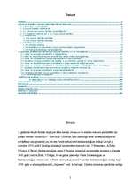 Referāts 'Aprūpes problēmas bērnam ar cukura diabētu', 2.