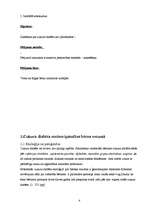 Referāts 'Aprūpes problēmas bērnam ar cukura diabētu', 4.