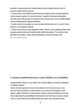 Referāts 'Aprūpes problēmas bērnam ar cukura diabētu', 10.