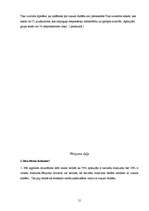 Referāts 'Aprūpes problēmas bērnam ar cukura diabētu', 15.