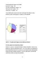 Referāts 'Aprūpes problēmas bērnam ar cukura diabētu', 17.