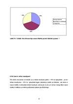 Referāts 'Aprūpes problēmas bērnam ar cukura diabētu', 19.