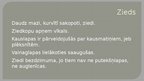 Prezentācija 'Kurvjziežu dzimta', 3.