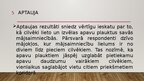 Prezentācija '12. klases projekta darba prezentācija', 5.