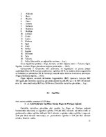 Referāts 'Izglītības nozare Latvijas reģionos', 31.