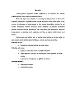 Referāts 'Līderība', 3.