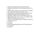 Referāts 'Bezdarba struktūras un dinamikas analīze Latvijā 2001.-2007.gadā', 22.
