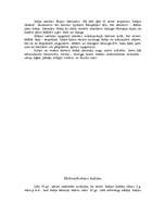 Referāts 'Senās Indijas kultūra', 3.