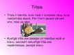 Prezentācija 'Kustīgais trīsis', 4.