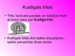 Prezentācija 'Kustīgais trīsis', 5.