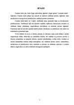 Referāts 'Vadīšanas process Rīgas pašvaldības aģentūrā "Rīgas gaisma"', 3.