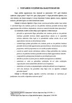 Referāts 'Vadīšanas process Rīgas pašvaldības aģentūrā "Rīgas gaisma"', 4.