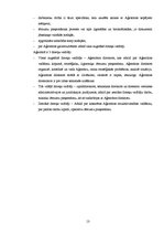 Referāts 'Vadīšanas process Rīgas pašvaldības aģentūrā "Rīgas gaisma"', 13.