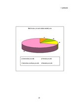 Referāts 'Vadīšanas process Rīgas pašvaldības aģentūrā "Rīgas gaisma"', 29.