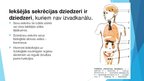 Prezentācija 'Iekšējās sekrēcijas dziedzeri', 2.