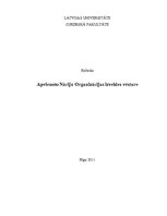 Referāts 'ANO izveides vēsture', 1.