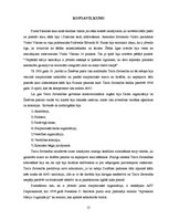 Referāts 'ANO izveides vēsture', 12.