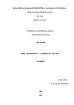 Referāts 'Reklāmas plānošana uzņēmumā SIA "Nianse A"', 1.