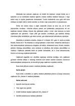 Referāts 'Reklāmas plānošana uzņēmumā SIA "Nianse A"', 3.