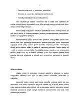 Referāts 'Reklāmas plānošana uzņēmumā SIA "Nianse A"', 7.