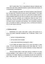 Referāts 'Reklāmas plānošana uzņēmumā SIA "Nianse A"', 17.