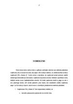 Referāts 'Reklāmas plānošana uzņēmumā SIA "Nianse A"', 27.