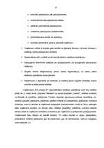 Referāts 'Reklāmas plānošana uzņēmumā SIA "Nianse A"', 28.