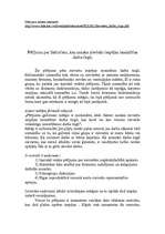 Eseja 'Pētījums par faktoriem, kas nosaka sieviešu iespējas iesaistīties darba tirgū', 1.