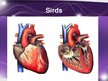Prezentācija 'Sirds un asinsvadu sistēmas anatomija, asins sastāvs', 12.
