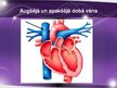 Prezentācija 'Sirds un asinsvadu sistēmas anatomija, asins sastāvs', 33.