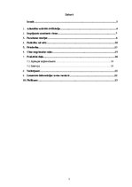 Referāts 'Atlantīda', 2.