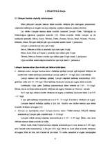 Referāts 'Lielupes baseina ūdens kvalitāte', 9.