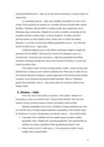 Referāts 'Ainava – viens no kinematogrāfijas pamatelementiem', 4.