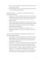 Referāts 'Ainava – viens no kinematogrāfijas pamatelementiem', 5.