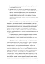 Referāts 'Ainava – viens no kinematogrāfijas pamatelementiem', 9.