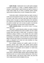 Eseja 'Mans viedoklis par pedagoģiski filosofiskajiem principiem Latvijas izglītībā, te', 2.