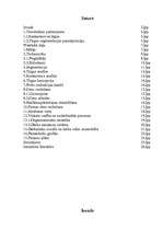 Referāts 'Mārketinga pasākumu plānošana', 1.