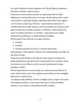 Referāts 'Mārketinga pasākumu plānošana', 4.