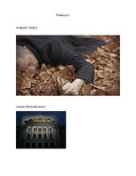 Eseja 'Operas "Jevgēņijs Oņegins" recenzija', 5.