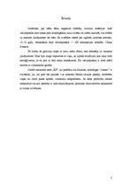 Referāts 'Psihosociālā attīstība no 15 līdz 18 gadu vecumam', 1.